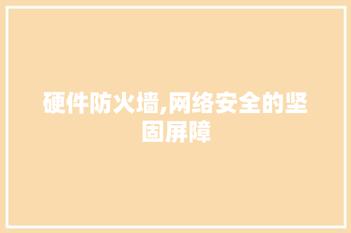 硬件防火墙,网络安全的坚固屏障