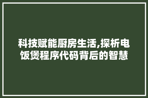 科技赋能厨房生活,探析电饭煲程序代码背后的智慧 科技赋能厨房生活,探析电饭煲程序代码背后的智慧 神马SEO