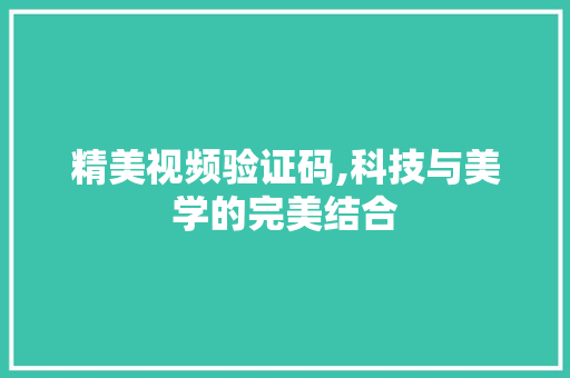 精美视频验证码,科技与美学的完美结合