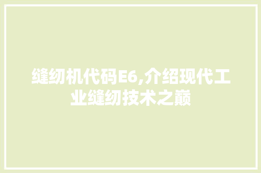 缝纫机代码E6,介绍现代工业缝纫技术之巅