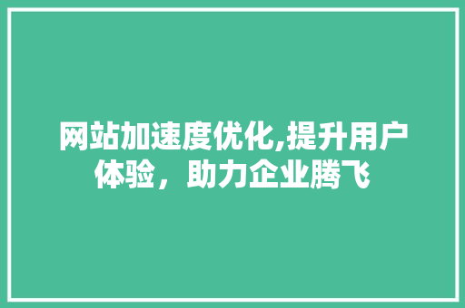 网站加速度优化,提升用户体验，助力企业腾飞