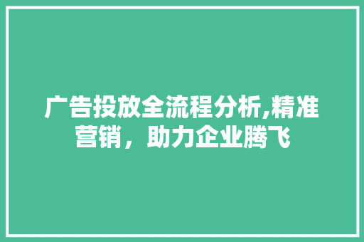 广告投放全流程分析,精准营销，助力企业腾飞 广告投放全流程分析,精准营销，助力企业腾飞 搜狗SEO