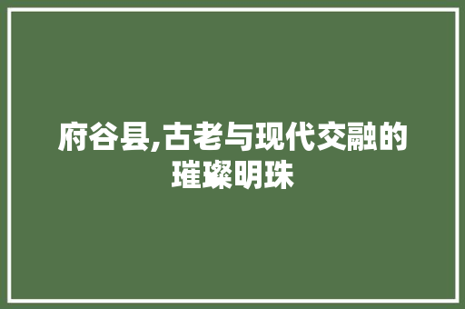 府谷县,古老与现代交融的璀璨明珠