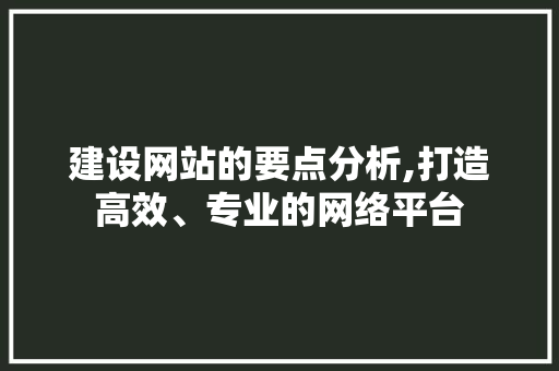 建设网站的要点分析,打造高效、专业的网络平台