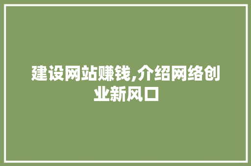 建设网站赚钱,介绍网络创业新风口 建设网站赚钱,介绍网络创业新风口 百度SEO