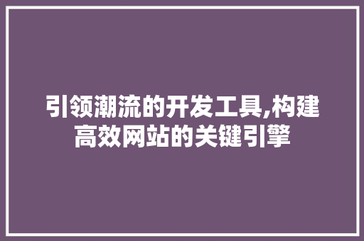 引领潮流的开发工具,构建高效网站的关键引擎