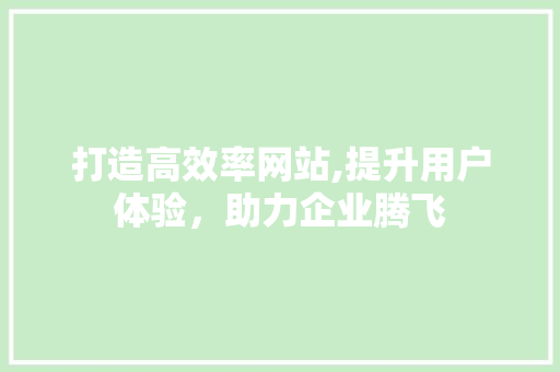 打造高效率网站,提升用户体验，助力企业腾飞 打造高效率网站,提升用户体验，助力企业腾飞 SEO关键词