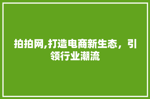 拍拍网,打造电商新生态，引领行业潮流