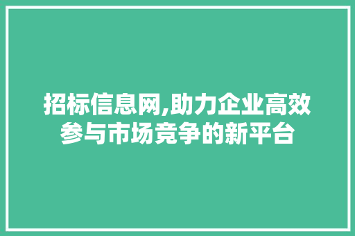 招标信息网,助力企业高效参与市场竞争的新平台