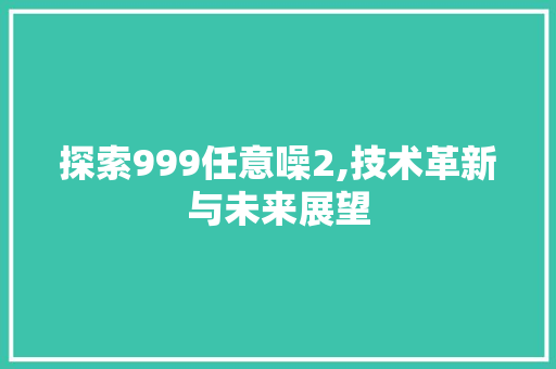 探索999任意噪2,技术革新与未来展望