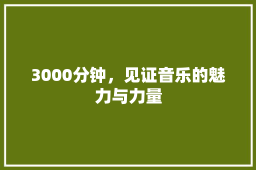 3000分钟，见证音乐的魅力与力量