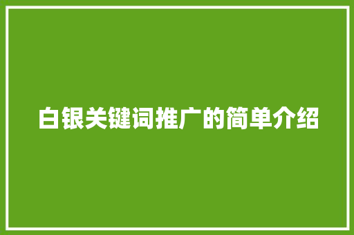 白银关键词推广的简单介绍