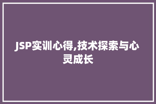 JSP实训心得,技术探索与心灵成长