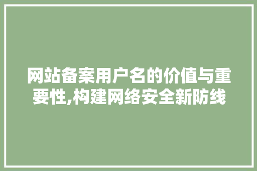 网站备案用户名的价值与重要性,构建网络安全新防线
