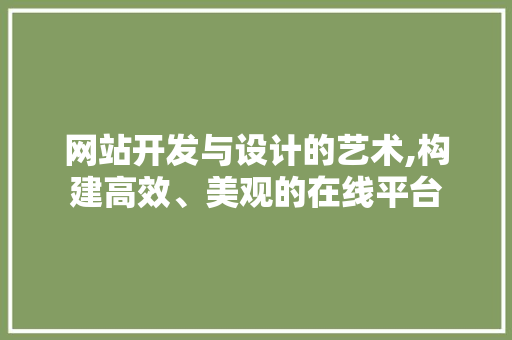 网站开发与设计的艺术,构建高效、美观的在线平台