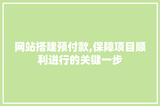 网站搭建预付款,保障项目顺利进行的关键一步