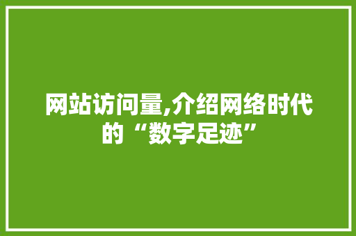 网站访问量,介绍网络时代的“数字足迹”
