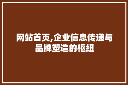 网站首页,企业信息传递与品牌塑造的枢纽