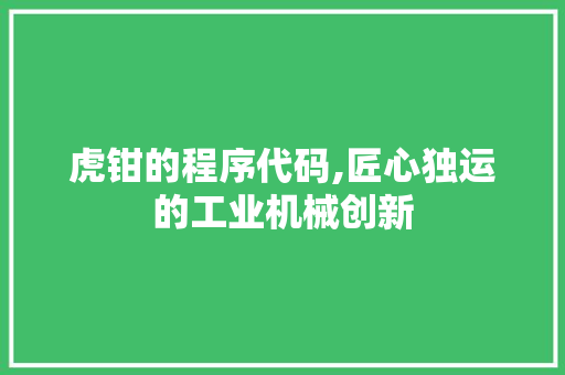 虎钳的程序代码,匠心独运的工业机械创新 虎钳的程序代码,匠心独运的工业机械创新 网站建设公司