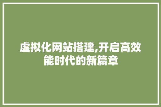 虚拟化网站搭建,开启高效能时代的新篇章