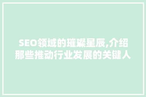 SEO领域的璀璨星辰,介绍那些推动行业发展的关键人物 必应SEO SEO领域的璀璨星辰,介绍那些推动行业发展的关键人物 SEO领域的璀璨星辰,介绍那些推动行业发展的关键人物 必应SEO