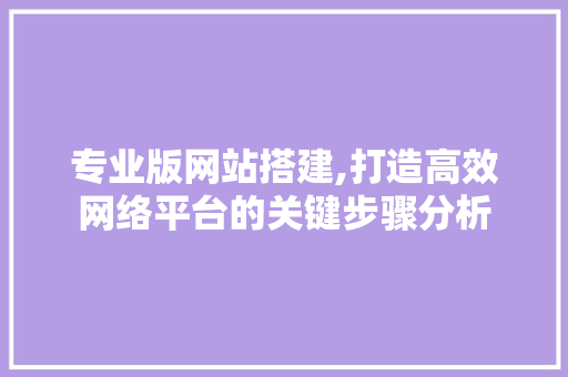 专业版网站搭建,打造高效网络平台的关键步骤分析