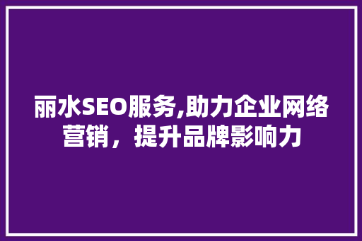 丽水SEO服务,助力企业网络营销，提升品牌影响力 丽水SEO服务,助力企业网络营销，提升品牌影响力 网站建设公司