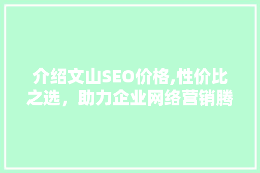 介绍文山SEO价格,性价比之选，助力企业网络营销腾飞