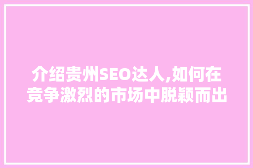介绍贵州SEO达人,如何在竞争激烈的市场中脱颖而出