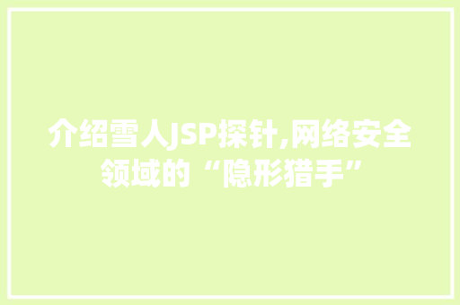 介绍雪人JSP探针,网络安全领域的“隐形猎手”