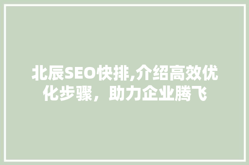 北辰SEO快排,介绍高效优化步骤，助力企业腾飞 北辰SEO快排,介绍高效优化步骤，助力企业腾飞 神马SEO