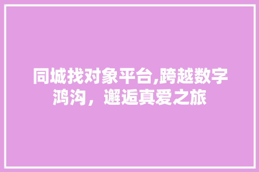 同城找对象平台,跨越数字鸿沟，邂逅真爱之旅