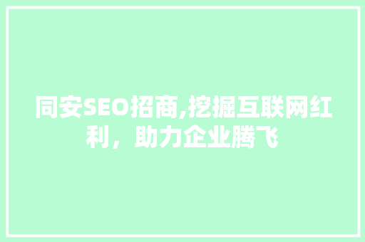 同安SEO招商,挖掘互联网红利，助力企业腾飞