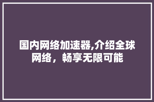 国内网络加速器,介绍全球网络，畅享无限可能