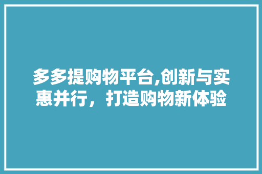 多多提购物平台,创新与实惠并行，打造购物新体验