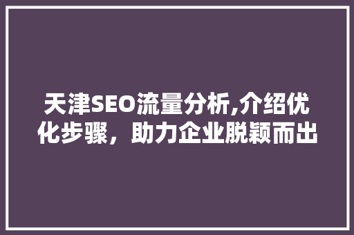 天津SEO流量分析,介绍优化步骤,助力企业脱颖而出 SEO关键词 天津SEO流量分析,介绍优化步骤,助力企业脱颖而出 天津SEO流量分析,介绍优化步骤,助力企业脱颖而出 SEO关键词
