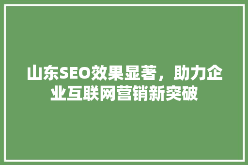 山东SEO效果显著，助力企业互联网营销新突破