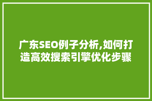 广东SEO例子分析,如何打造高效搜索引擎优化步骤 广东SEO例子分析,如何打造高效搜索引擎优化步骤 网站建设公司