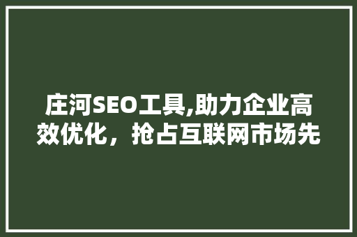 庄河SEO工具,助力企业高效优化，抢占互联网市场先机 庄河SEO工具,助力企业高效优化，抢占互联网市场先机 百度SEO
