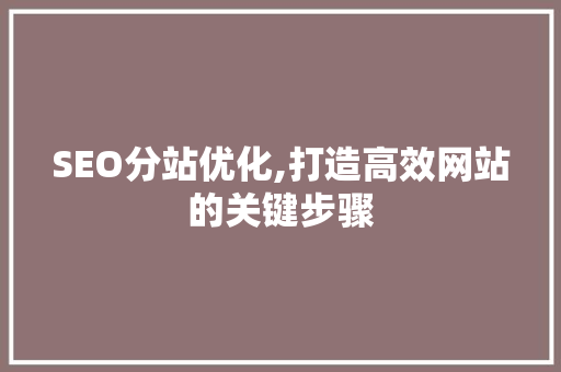 SEO分站优化,打造高效网站的关键步骤 SEO分站优化,打造高效网站的关键步骤 网站建设公司
