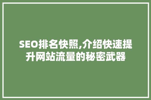 SEO排名快照,介绍快速提升网站流量的秘密武器 SEO排名快照,介绍快速提升网站流量的秘密武器 SEO关键词