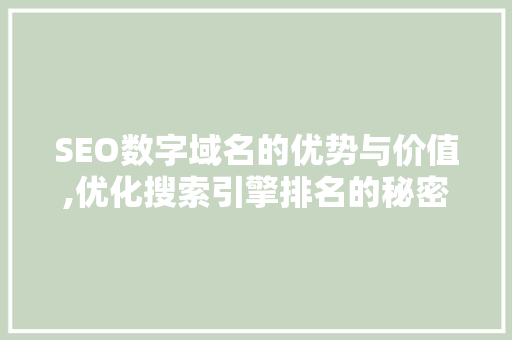 SEO数字域名的优势与价值,优化搜索引擎排名的秘密武器 SEO数字域名的优势与价值,优化搜索引擎排名的秘密武器 网站建设公司