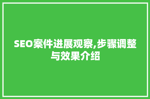 SEO案件进展观察,步骤调整与效果介绍 SEO案件进展观察,步骤调整与效果介绍 百度SEO