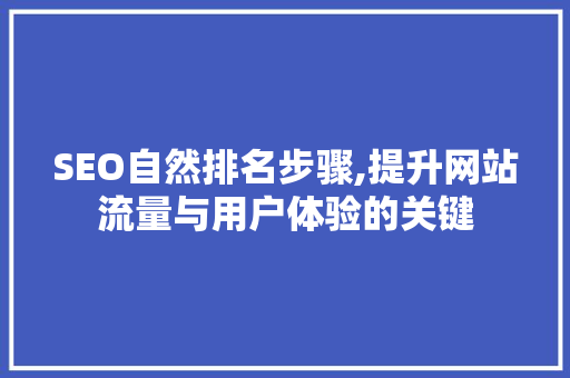 SEO自然排名步骤,提升网站流量与用户体验的关键 SEO自然排名步骤,提升网站流量与用户体验的关键 SEO关键词