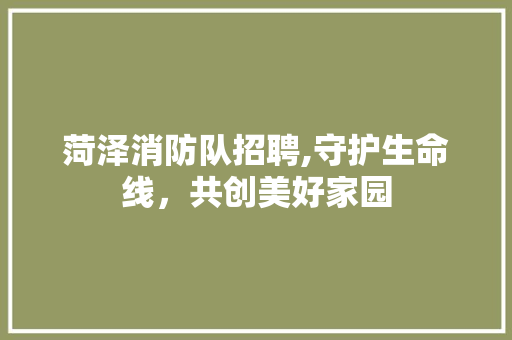菏泽消防队招聘,守护生命线，共创美好家园