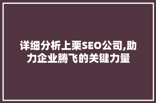 详细分析上栗SEO公司,助力企业腾飞的关键力量 详细分析上栗SEO公司,助力企业腾飞的关键力量 百度SEO