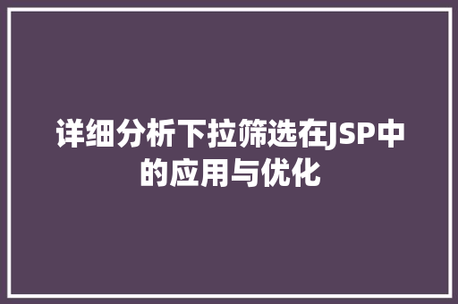 详细分析下拉筛选在JSP中的应用与优化