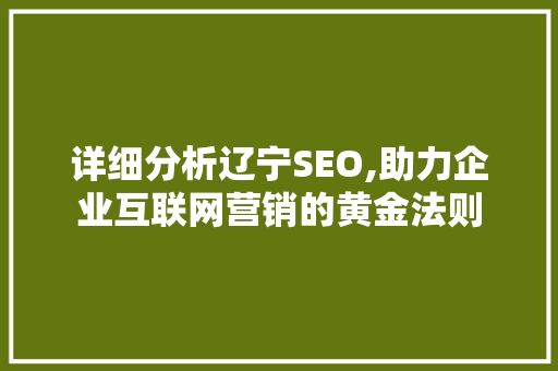 详细分析辽宁SEO,助力企业互联网营销的黄金法则