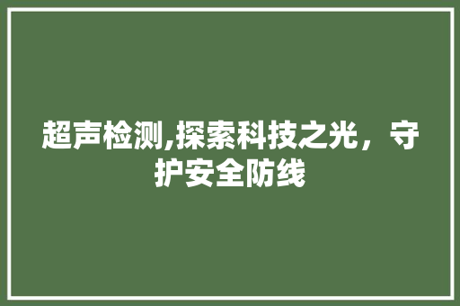 超声检测,探索科技之光，守护安全防线