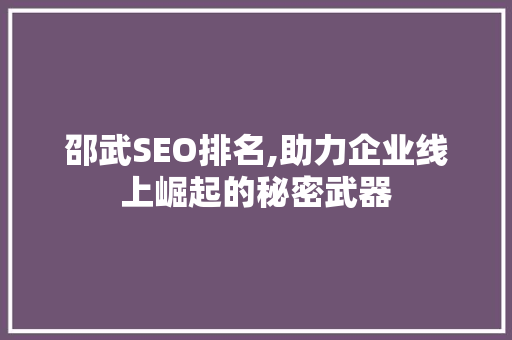 邵武SEO排名,助力企业线上崛起的秘密武器